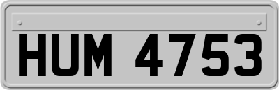 HUM4753