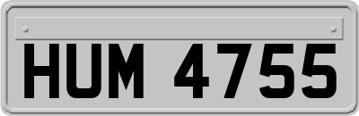 HUM4755