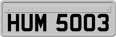 HUM5003