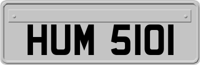 HUM5101