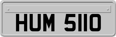 HUM5110