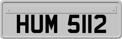 HUM5112