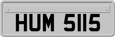 HUM5115