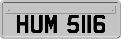 HUM5116