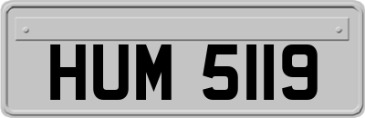 HUM5119