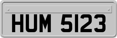 HUM5123