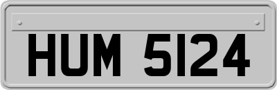 HUM5124