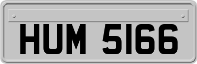 HUM5166