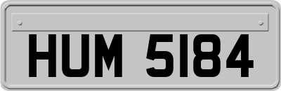 HUM5184