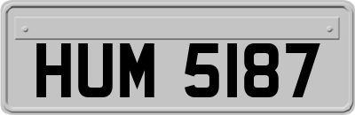 HUM5187