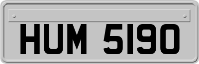 HUM5190