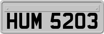 HUM5203