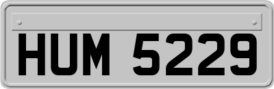 HUM5229