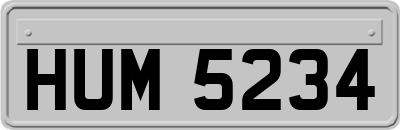 HUM5234