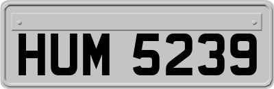 HUM5239