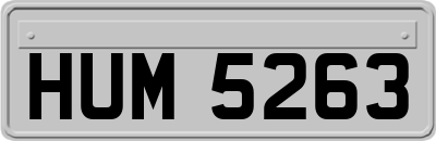 HUM5263