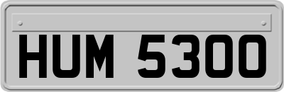 HUM5300