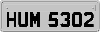 HUM5302