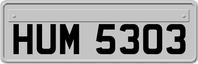 HUM5303