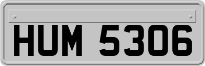 HUM5306