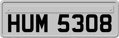 HUM5308