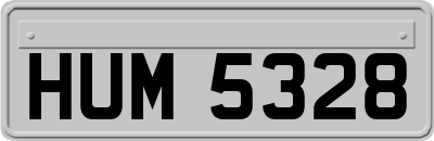 HUM5328