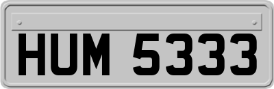 HUM5333