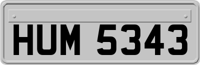 HUM5343