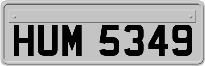 HUM5349