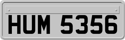 HUM5356