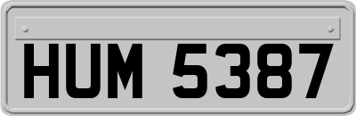 HUM5387