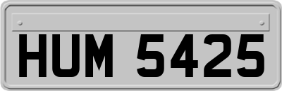 HUM5425