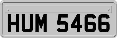 HUM5466