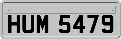 HUM5479