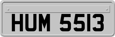 HUM5513