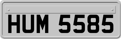 HUM5585