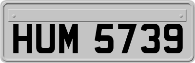 HUM5739