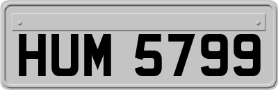 HUM5799