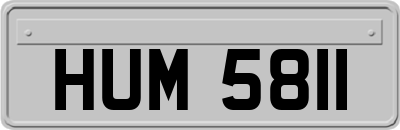 HUM5811