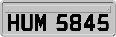 HUM5845