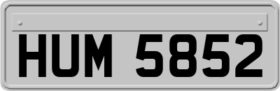 HUM5852