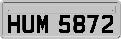 HUM5872