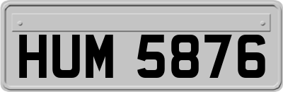 HUM5876