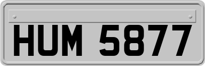 HUM5877