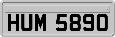 HUM5890