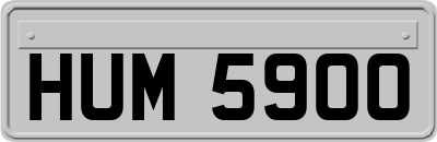 HUM5900