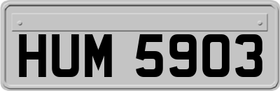 HUM5903