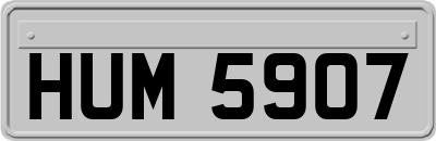 HUM5907