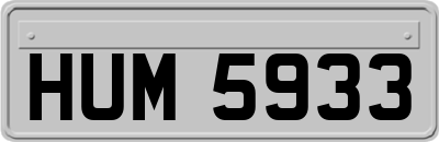 HUM5933