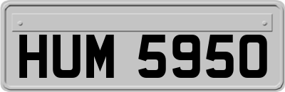 HUM5950